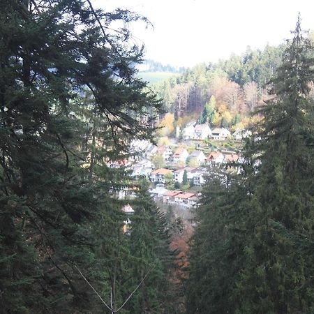 Relaxapartments Black Forest Diamond Direkt An Der Hornberger Freilichtbuehne - Sonnenterrasse Mit Blick Auf Das Hornberger Schloss, Schnelles Internet, Fuer Bis Zu 2 Personen Buitenkant foto