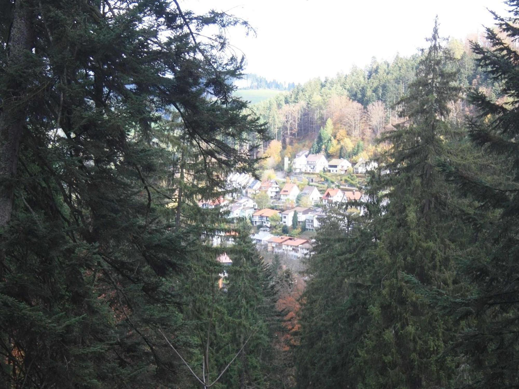 Relaxapartments Black Forest Diamond Direkt An Der Hornberger Freilichtbuehne - Sonnenterrasse Mit Blick Auf Das Hornberger Schloss, Schnelles Internet, Fuer Bis Zu 2 Personen Buitenkant foto