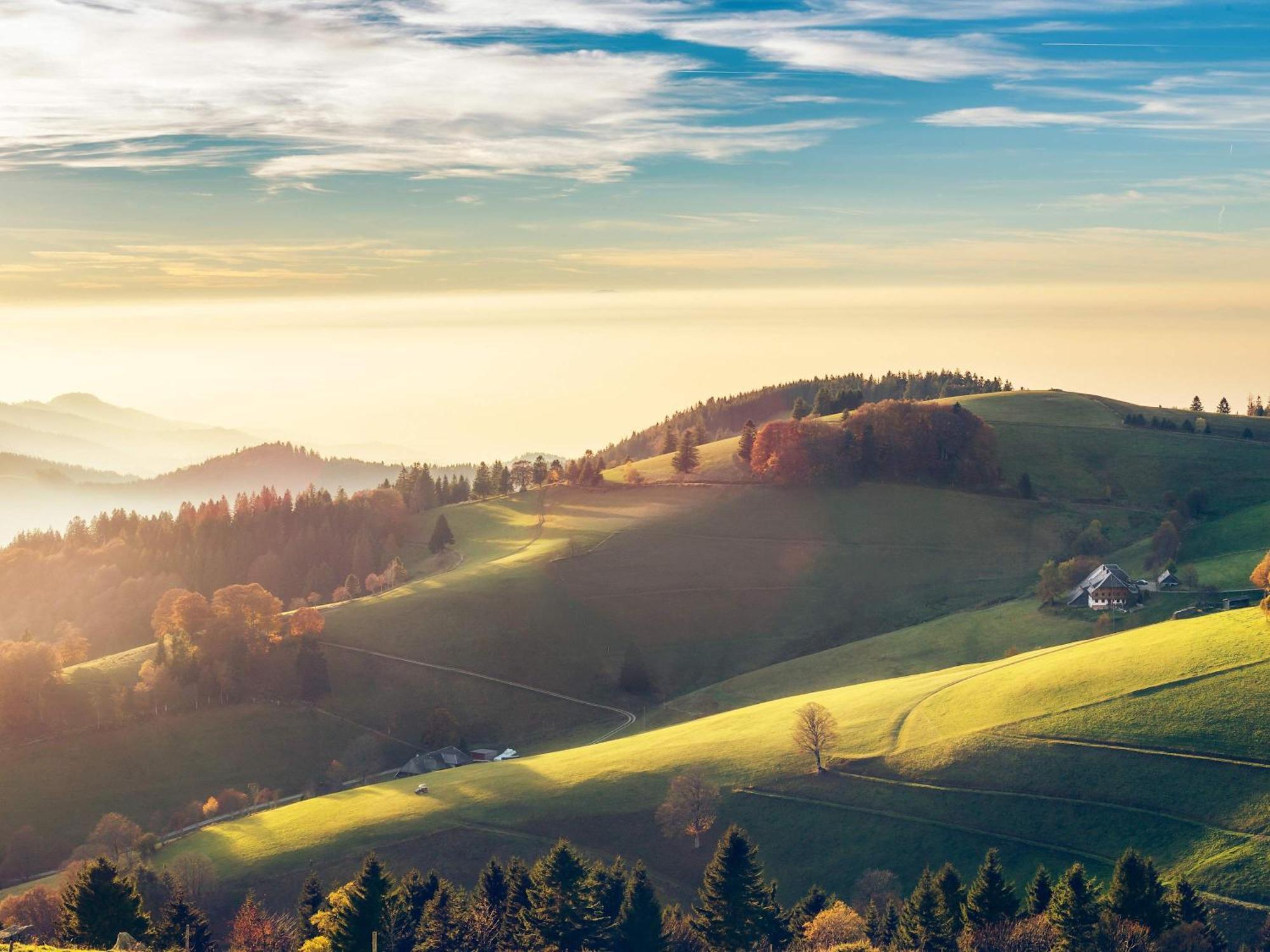 Relaxapartments Black Forest Diamond Direkt An Der Hornberger Freilichtbuehne - Sonnenterrasse Mit Blick Auf Das Hornberger Schloss, Schnelles Internet, Fuer Bis Zu 2 Personen Buitenkant foto
