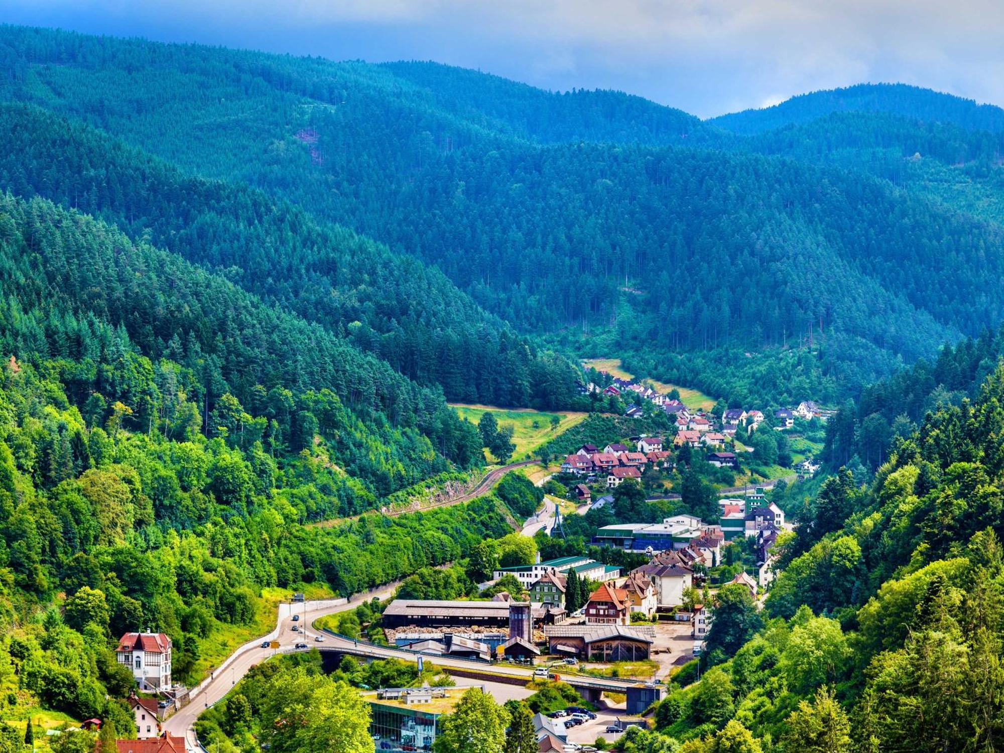 Relaxapartments Black Forest Diamond Direkt An Der Hornberger Freilichtbuehne - Sonnenterrasse Mit Blick Auf Das Hornberger Schloss, Schnelles Internet, Fuer Bis Zu 2 Personen Buitenkant foto
