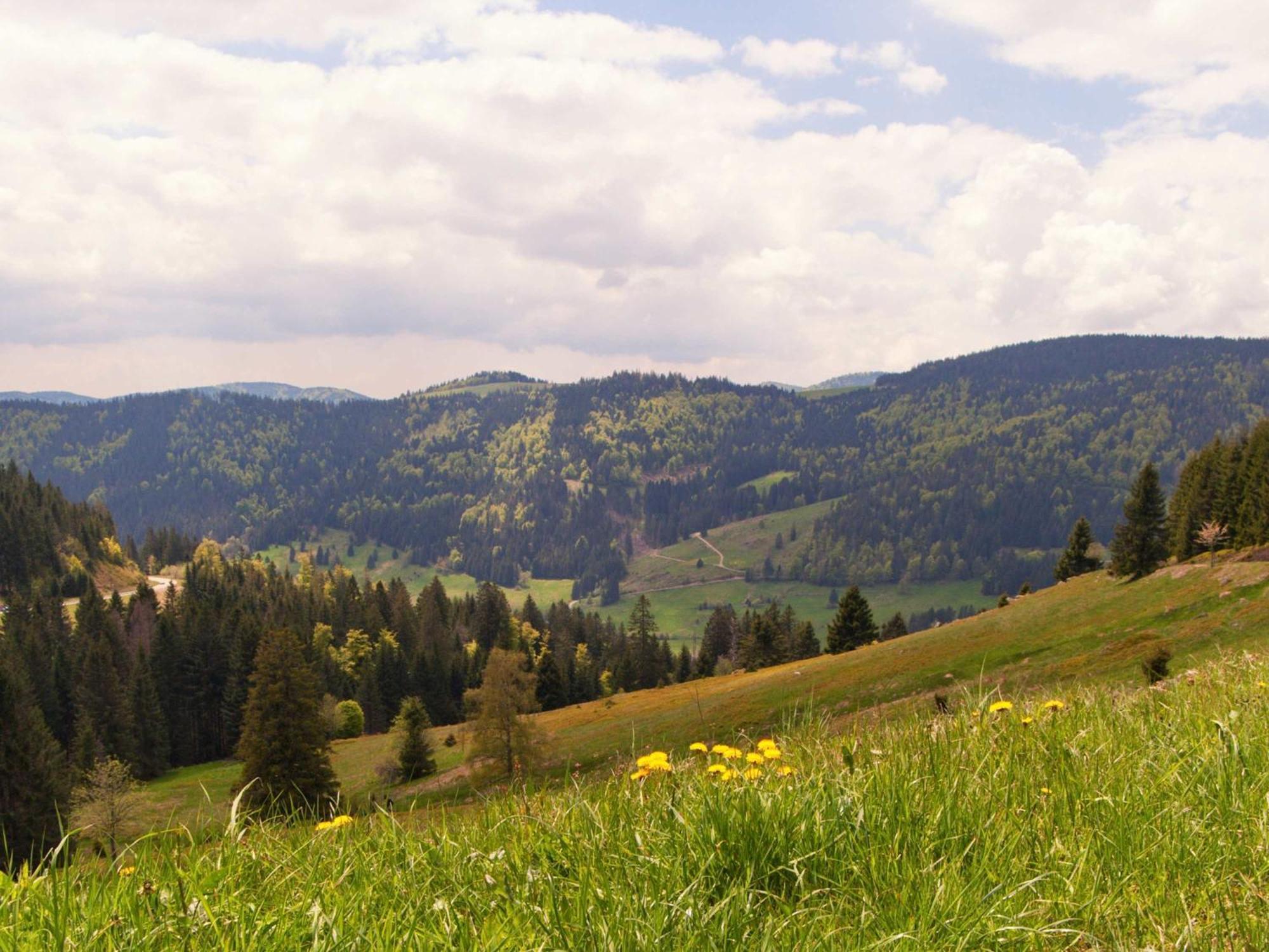 Relaxapartments Black Forest Diamond Direkt An Der Hornberger Freilichtbuehne - Sonnenterrasse Mit Blick Auf Das Hornberger Schloss, Schnelles Internet, Fuer Bis Zu 2 Personen Buitenkant foto